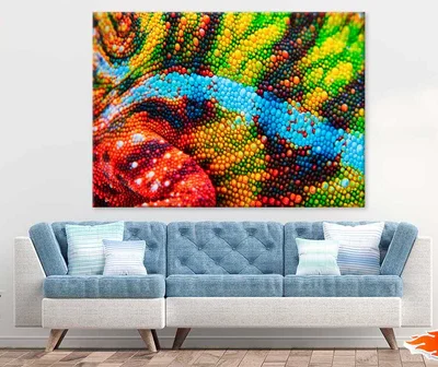 Skin View of a Chameleon Photograph Print 100% Australian Made