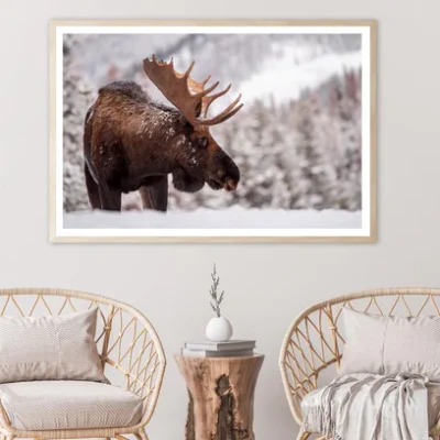 Bull Moose in Snow Home Decor Premium Quality Poster Print Choose Your Sizes