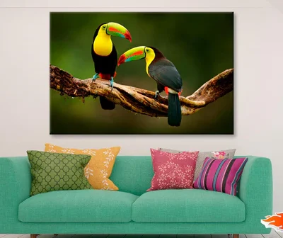 Toucan Sitting on The Branch in The Forest Wall Art Decor 100% Australian Made