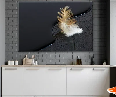 Feather Near Water Photograph Print 100% Australian Made