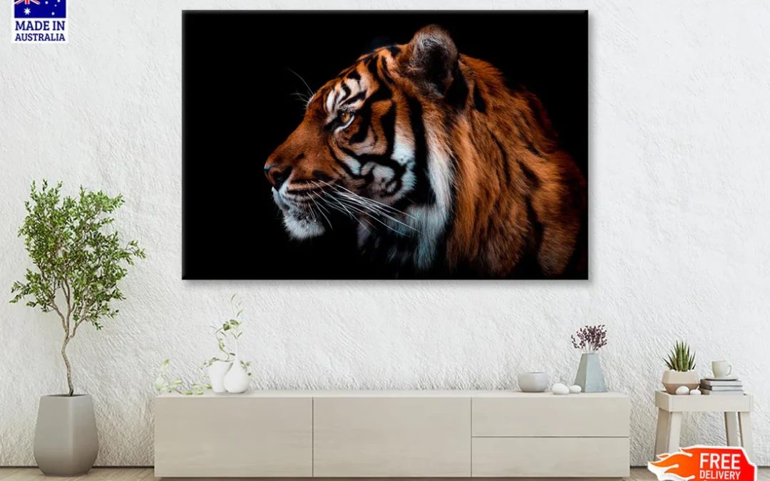View Of Sumatran Tiger Black Background Wall Art Decor 100% Australian Made