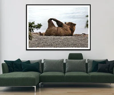 A Bear Stretches on The Beach in Katmai Home Decor Premium Quality Poster Print Choose Your Sizes