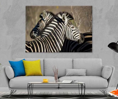 Zebra in Forest Side View Photograph Print 100% Australian Made