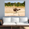 Ostrich Running View Photograph Print 100% Australian Made - Image 2