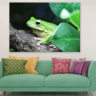 Green Frog on Tree Branch Photograph Print 100% Australian Made