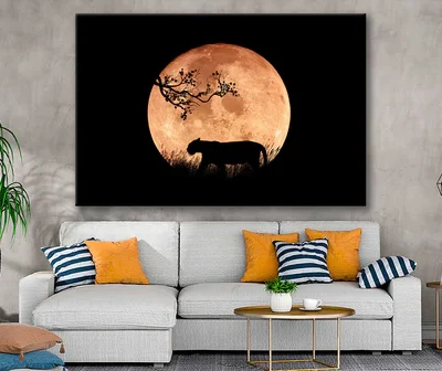 Bella Home Illustration of a Tiger in The Night Print Canvas Ready to hang