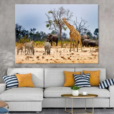 Animals Hwange National Park View Photograph Print 100% Australian Made