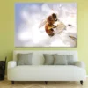 Bee on Flower Macro Photograph Print 100% Australian Made