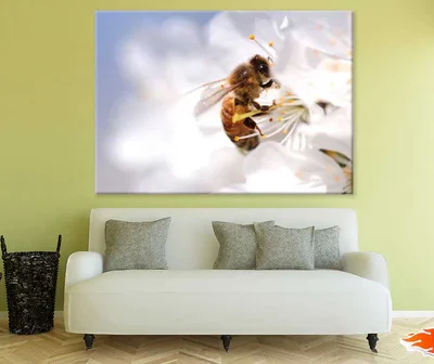 Bee on Flower Macro Photograph Print 100% Australian Made