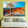 Snow Storm in Bryce & Blue Sky View Wall Art Decor 100% Australian Made