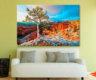 Snow Storm in Bryce & Blue Sky View Wall Art Decor 100% Australian Made