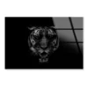 Black & White Beautiful Tiger on Black Acrylic Glass Print Tempered Glass Wall Art 100% Made in Australia Ready to Hang - Image 4