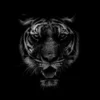 Black & White Beautiful Tiger on Black Wall Art Decor 100% Australian Made - Image 3