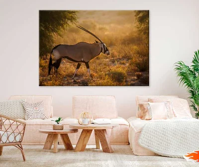 African Oryx in Kgalagadi Park Sunset Photograph Print 100% Australian Made