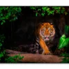 The Siberian Tiger & Forest View Home Decor Premium Quality Poster Print Choose Your Sizes - Image 3