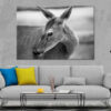 Deer Face B&W View Photograph Print 100% Australian Made