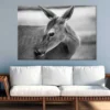 Deer Face B&W View Photograph Print 100% Australian Made - Image 2