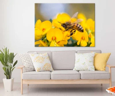 Bee on Flower Closeup Photograph Print 100% Australian Made