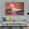 Orange Cockatoo Bird Near Water Print 100% Australian Made