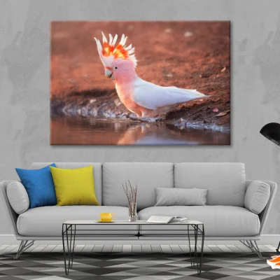 Orange Cockatoo Bird Near Water Print 100% Australian Made