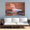 Orange Cockatoo Bird Near Water Print 100% Australian Made - Image 4