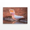 Orange Cockatoo Bird Near Water Print 100% Australian Made - Image 2
