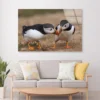 Atlantic Puffin Cliffs of Skomer Island Acrylic Glass Print Tempered Glass Wall Art 100% Made in Australia Ready to Hang - Image 2
