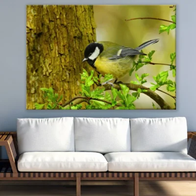 Great Tit Bird Closeup Photograph Print 100% Australian Made