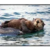 Watchful And Protective Sea Home Decor Premium Quality Poster Print Choose Your Sizes - Image 3