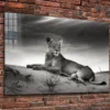 Lioness on Sand B&W Print Tempered Glass Wall Art 100% Made in Austra