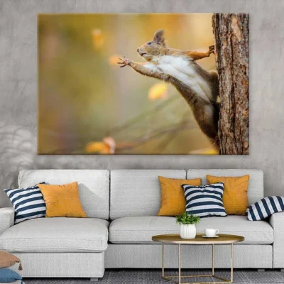 Squirrel on Tree Closeup View Photograph Print 100% Australian Made