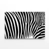 Black And White Zebra Pattern Print 100% Australian Made - Image 3