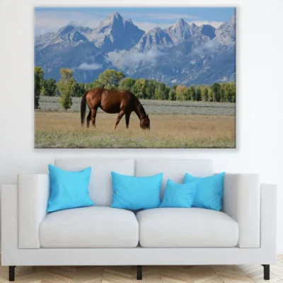Horse in a Mountain Field Photograph Print 100% Australian Made