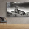 Lioness on Sand B&W Print Tempered Glass Wall Art 100% Made in Austra - Image 3