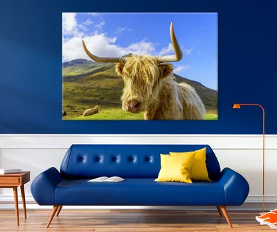 Highland Cow & Mountain View Photograph Print 100% Australian Made