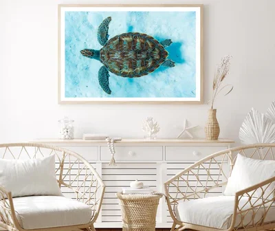 Green Sea Turtle Swimming Home Decor Premium Quality Poster Print Choose Your Sizes