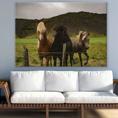 Horses in Mountain Field Photograph Print 100% Australian Made