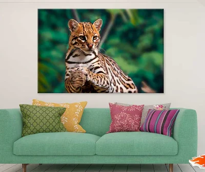 Ocelot on Tree Branch Photograph Print 100% Australian Made