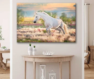 Bella Home White Horse Grass Field & Sunset Print Canvas Ready to hang