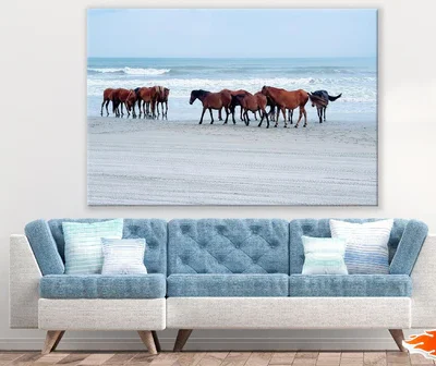Horses on Sea Shore Photograph Print 100% Australian Made