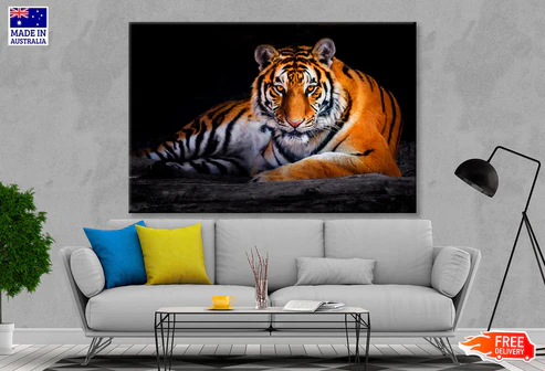 Closeup Of Siberian Tiger Wall Art Decor 100% Australian Made