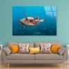 Turtle Swimming in The Ocean Acrylic Glass Print Tempered Glass Wall Art 100% Made in Australia Ready to Hang - Image 3