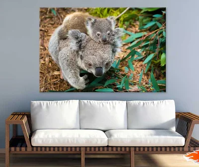 Koala Bear Mom & Baby Photograph Print 100% Australian Made