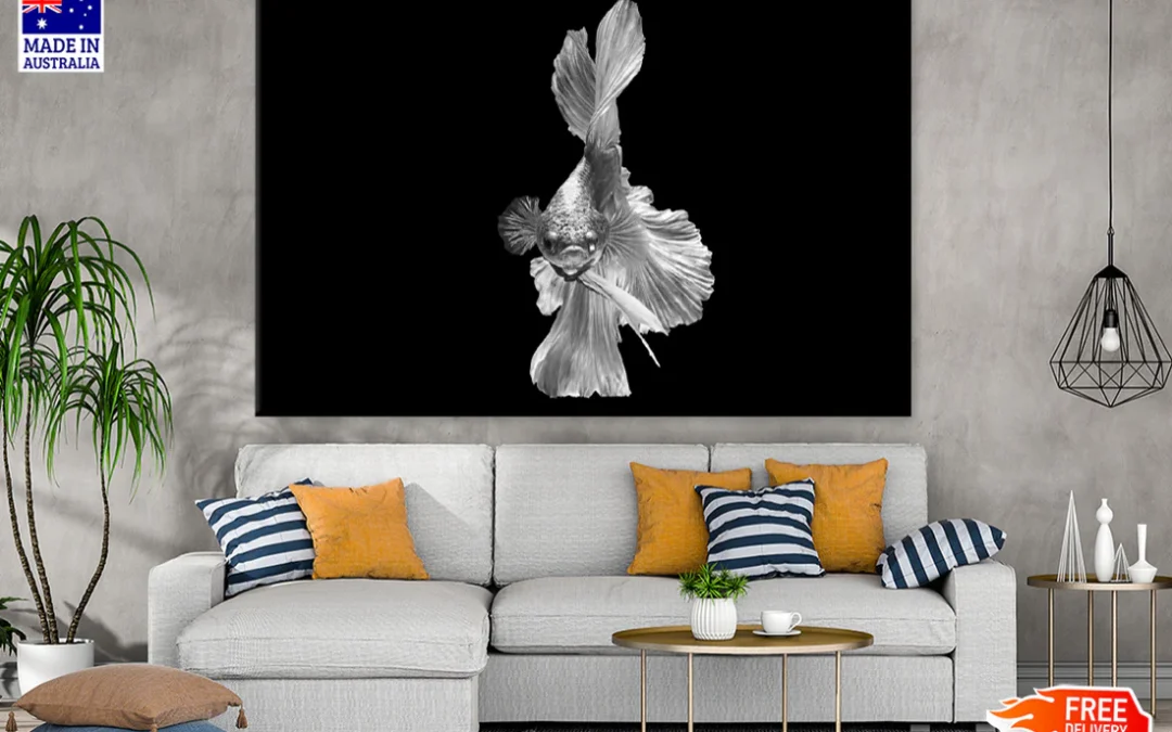 Fish B&W Photograph Print 100% Australian Made