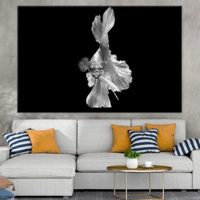Fish B&W Photograph Print 100% Australian Made