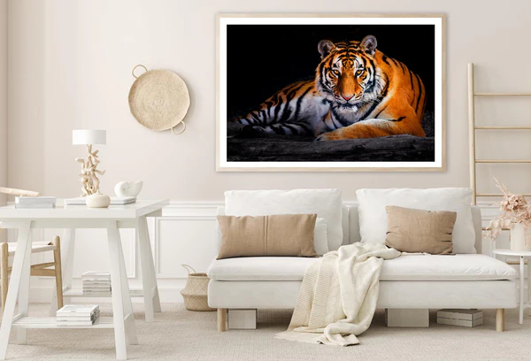 Closeup Of Siberian Tiger Home Decor Premium Quality Poster Print Choose Your Sizes