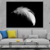White Feather Closeup B&W View Photograph Print 100% Australian Made