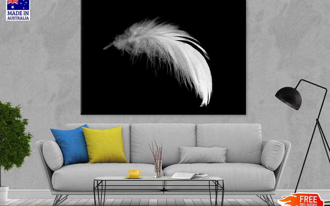 White Feather Closeup B&W View Photograph Print 100% Australian Made