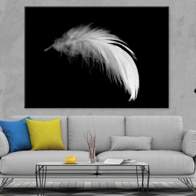 White Feather Closeup B&W View Photograph Print 100% Australian Made