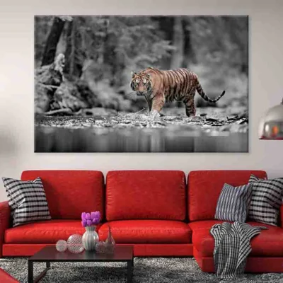Blue Eye Tiger 100% Australian Made